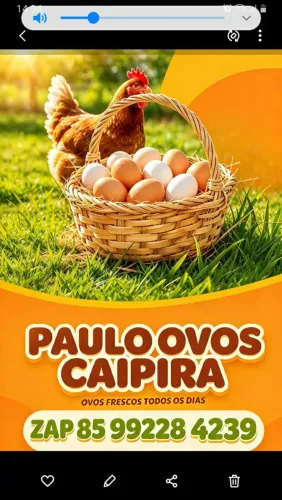 Jpaulo