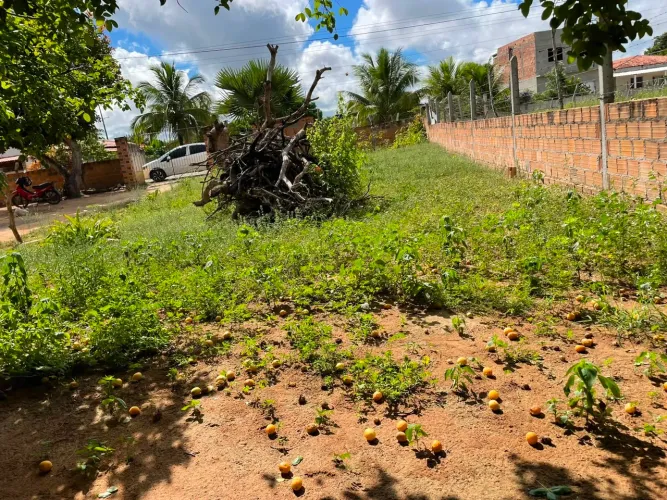 Vende-se um lote no alto de fora 10 por 20