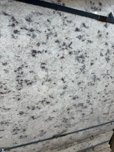 Granito Branco Dallas 58x58 34m2