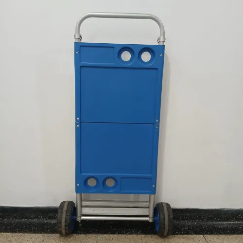 Carrinho de praia