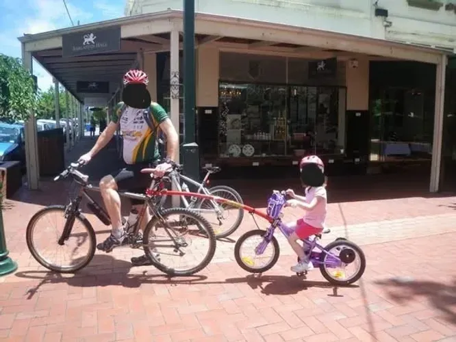 Reboque Bicicleta Infantil Trail Gator Bike
