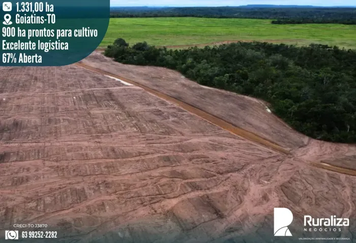 275 ALQUEIRES | 900 HA PRONTOS PARA CULTIVO | 100% PLANO
