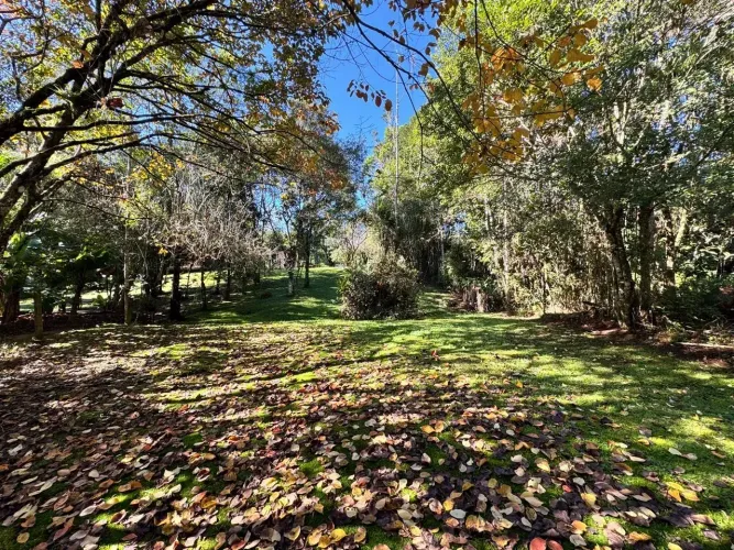 Chácara na Vargem do Braço - Santo Amaro da Imperatriz - SC