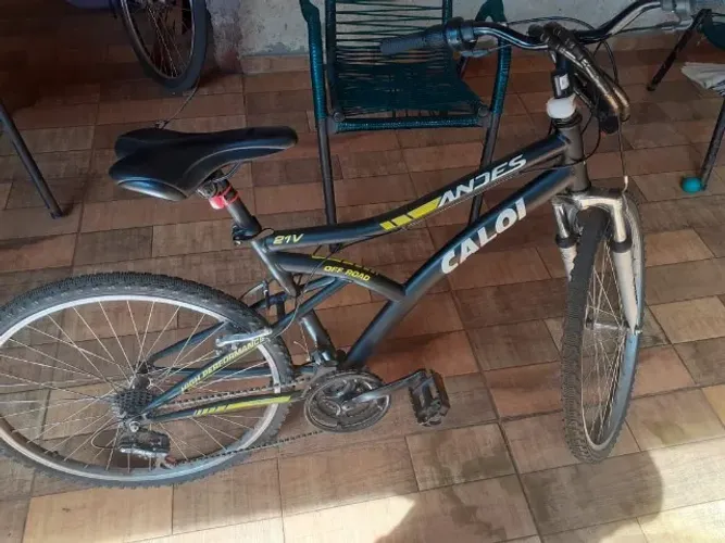 Bicicleta Caloi Andes Aro 26