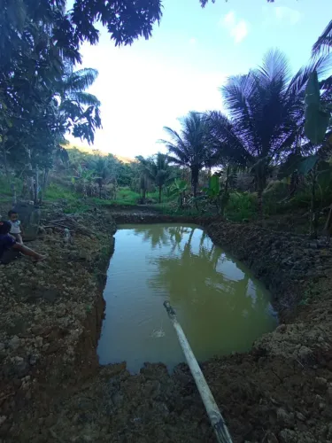 Sítio com 7 hectare 