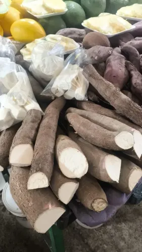 MACAXEIRA FRESCA