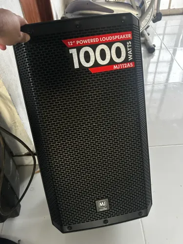 Caixa de som zero profissional de 12