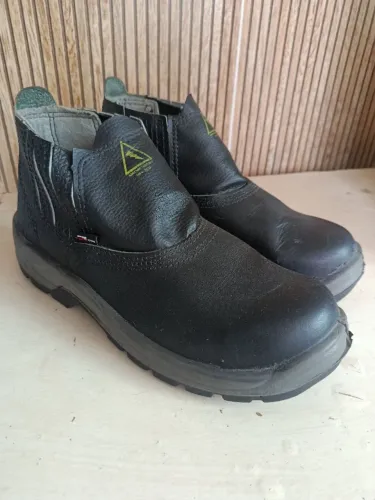 Bota