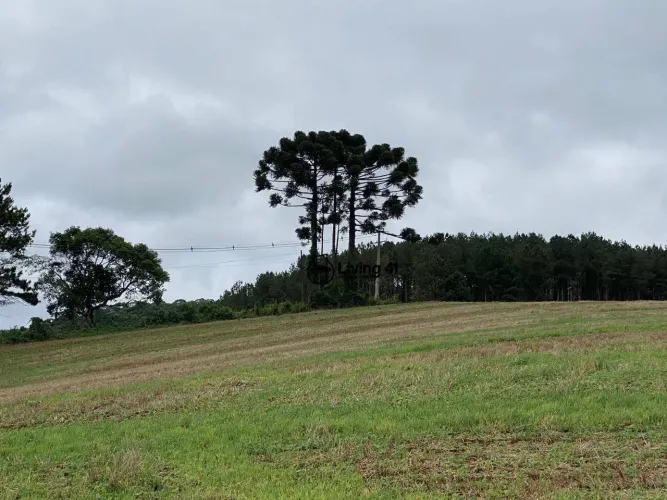 Fazenda à venda, 1306800 m² por R$ 9.000.000 - Bom Sucesso - Castro/PR