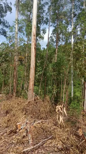 Propriedade 3.000 m2