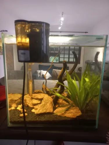 Aquário