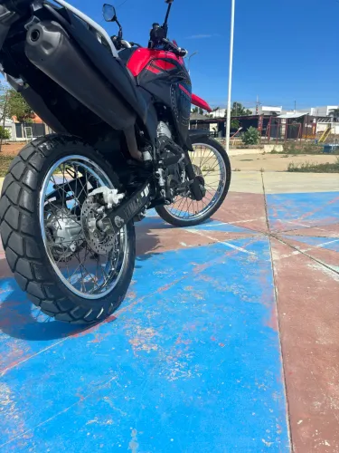 YTZ Lander modelo 2024