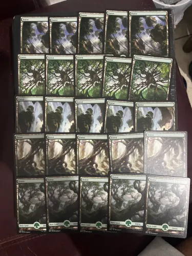 25 Floresta Terrenos Básicos Fullart