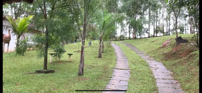 Fazenda à Venda em Bela Vista de Goiás  GO | 35 Alqueires | 25 em Lavoura