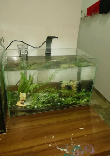 Vendo aquario 18 litros 40x20x25! Completo.