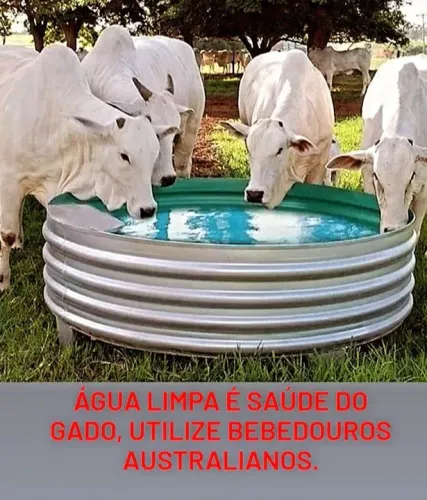 Bebedouro Australiano para gado. *