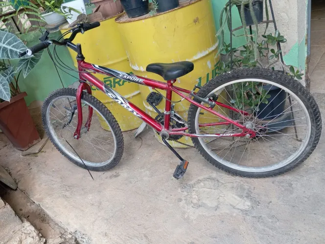 Bicicleta Infantil Sammy Export