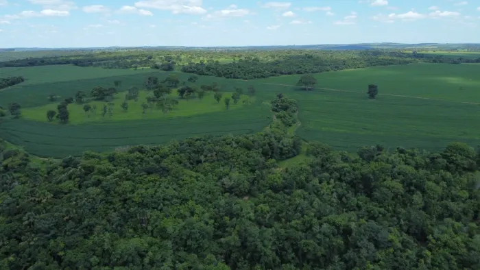 Fazenda dupla aptidão próximo campo florido 