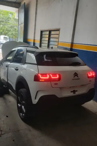 sucata C4 cactus 2022