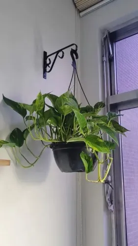 Suporte Para Jardim Vaso de Planta