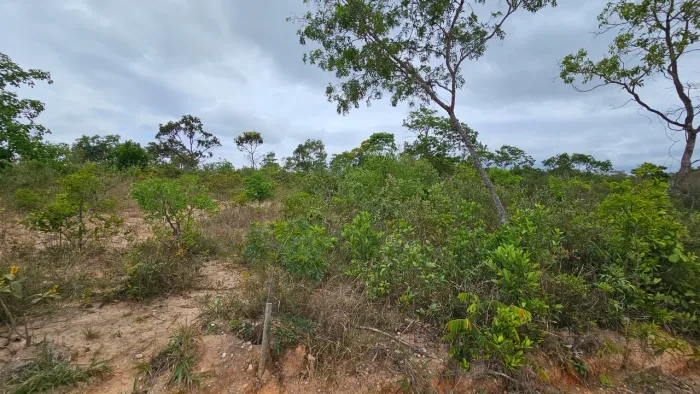 Chácaras a poucos minutos de Belo Horizonte 