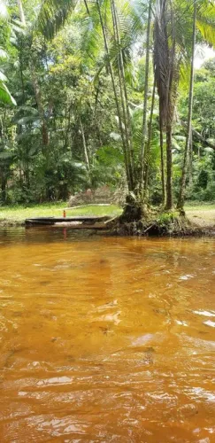 Terreno com Casa e Igarapé na natureza amazônica, Vila Santa Luzia, próx Taciateua.