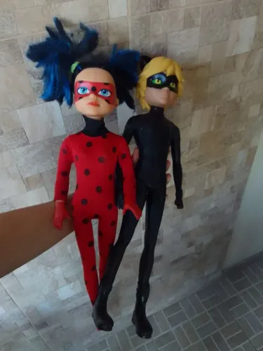 Ladybug e Cat Noir.