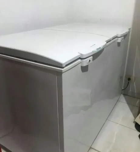 Frezer Eletrolux 2 portas
