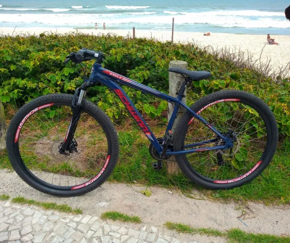 Bicicleta Schwinn Eagle - Aro 29