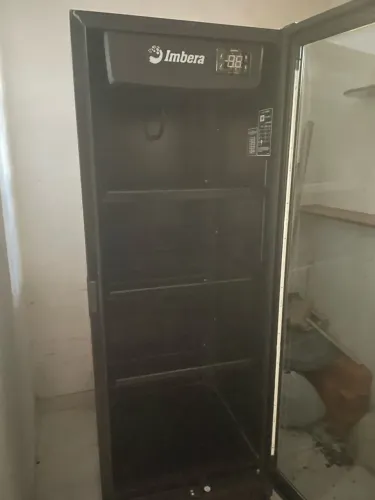 Freezer vertical