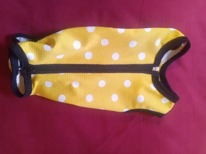 Roupa pra gato 
