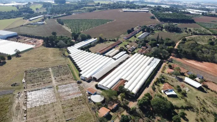 Sítio à Venda com Produção de Suculentas Ativa, Alta Rentabilidade e Estrutura Completa  I