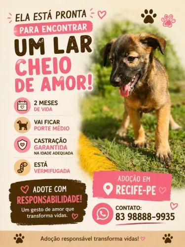 Cadelinhas para adoção responsável 2 meses