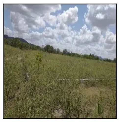 Destaque da região Terreno no Centro, Jatauba - PE, Nº 00 | Venda Direta Online