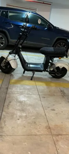 X11 plus