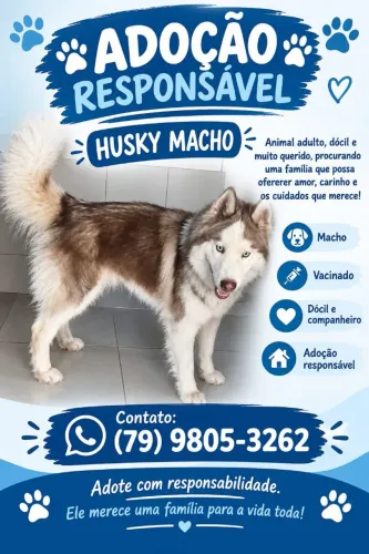 HUSK SIBERIANO