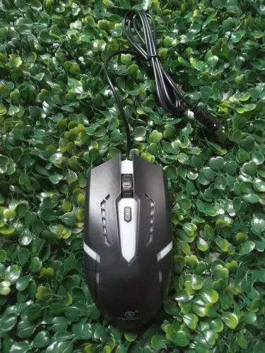 Mouse gamer