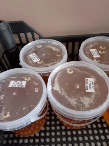 MEL PURO Flor Assa Peixe 