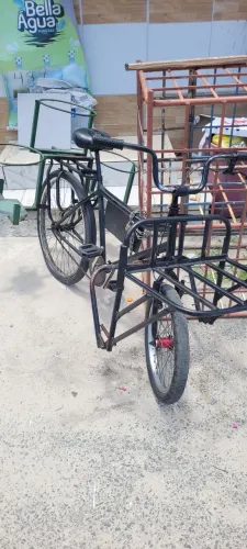 Bicicleta de carga