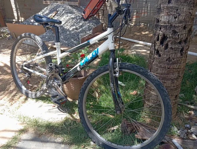 Bike aro 24