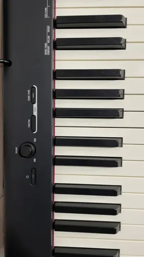 Piano CDP-S100