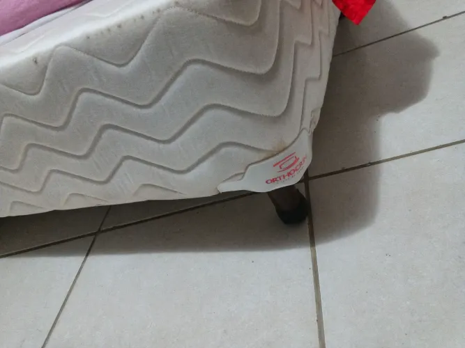 Box ortocrin solteiro rodinha