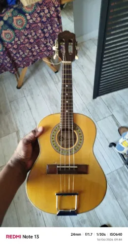 Vendo cavaquinho Gianini profissional acústico
