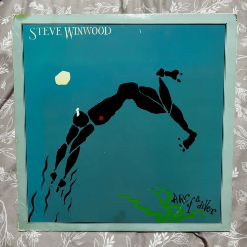 Disco de Vinil Steve Winwood