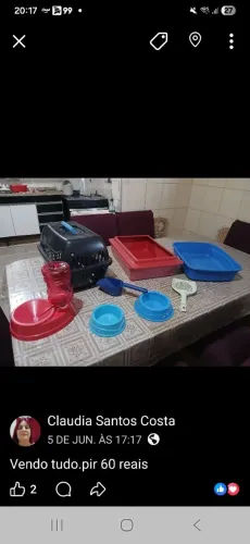 Kit gato