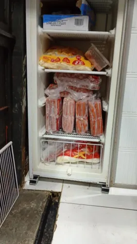 Freezer vertical