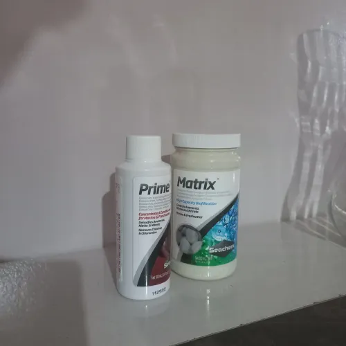 Aquário 
