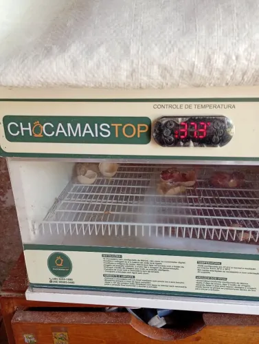 Vende chocadeira 