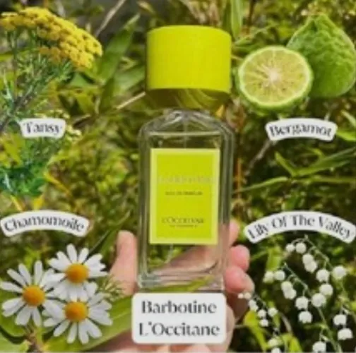 Perfume Loccitane