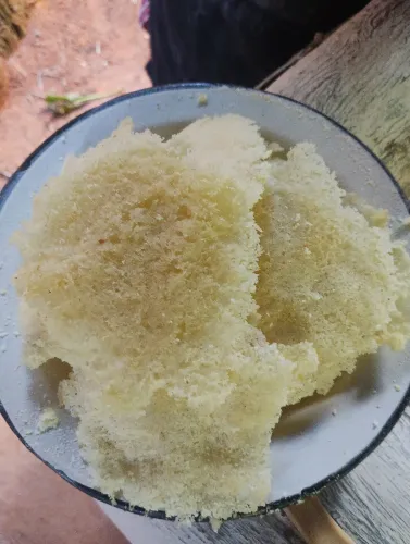 vendo vassouras de garrafa pet 